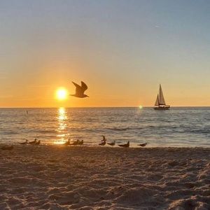 Meet your Posher, Entela